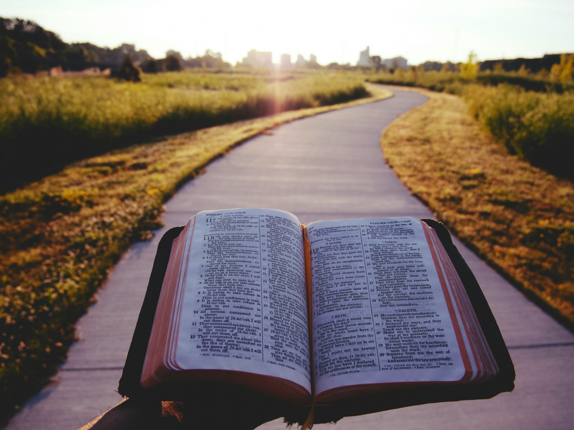 Open Bible with a trail in front and sunshine.